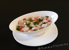 ceviche nourriture typique costa rica voyage limon spécialité culinaire