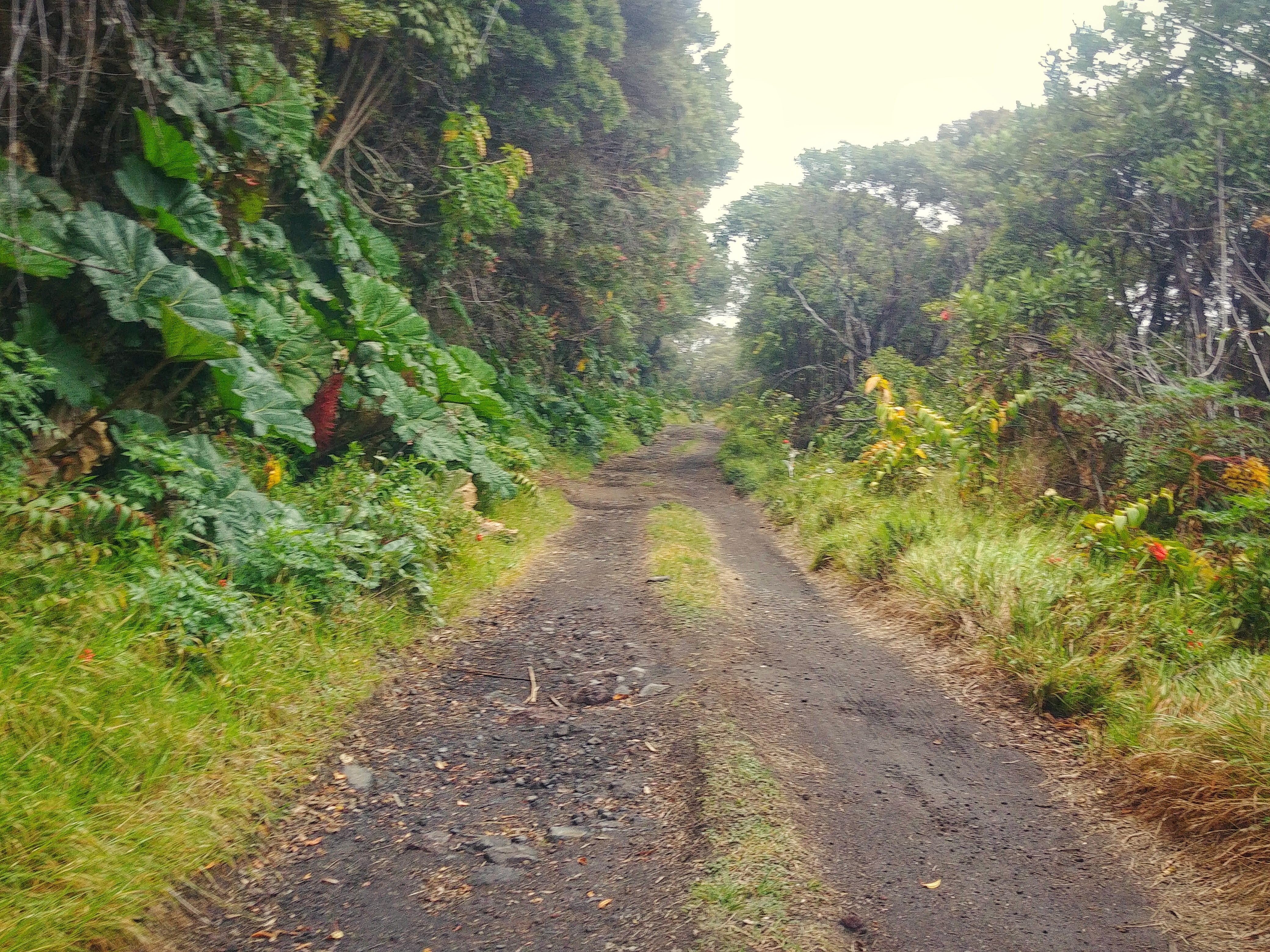 Route volcan irazu