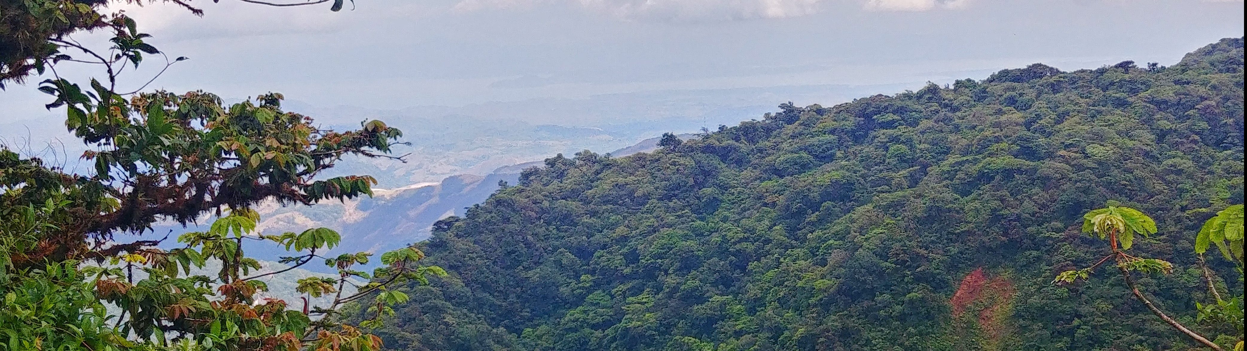 Parc Naturel Monteverde