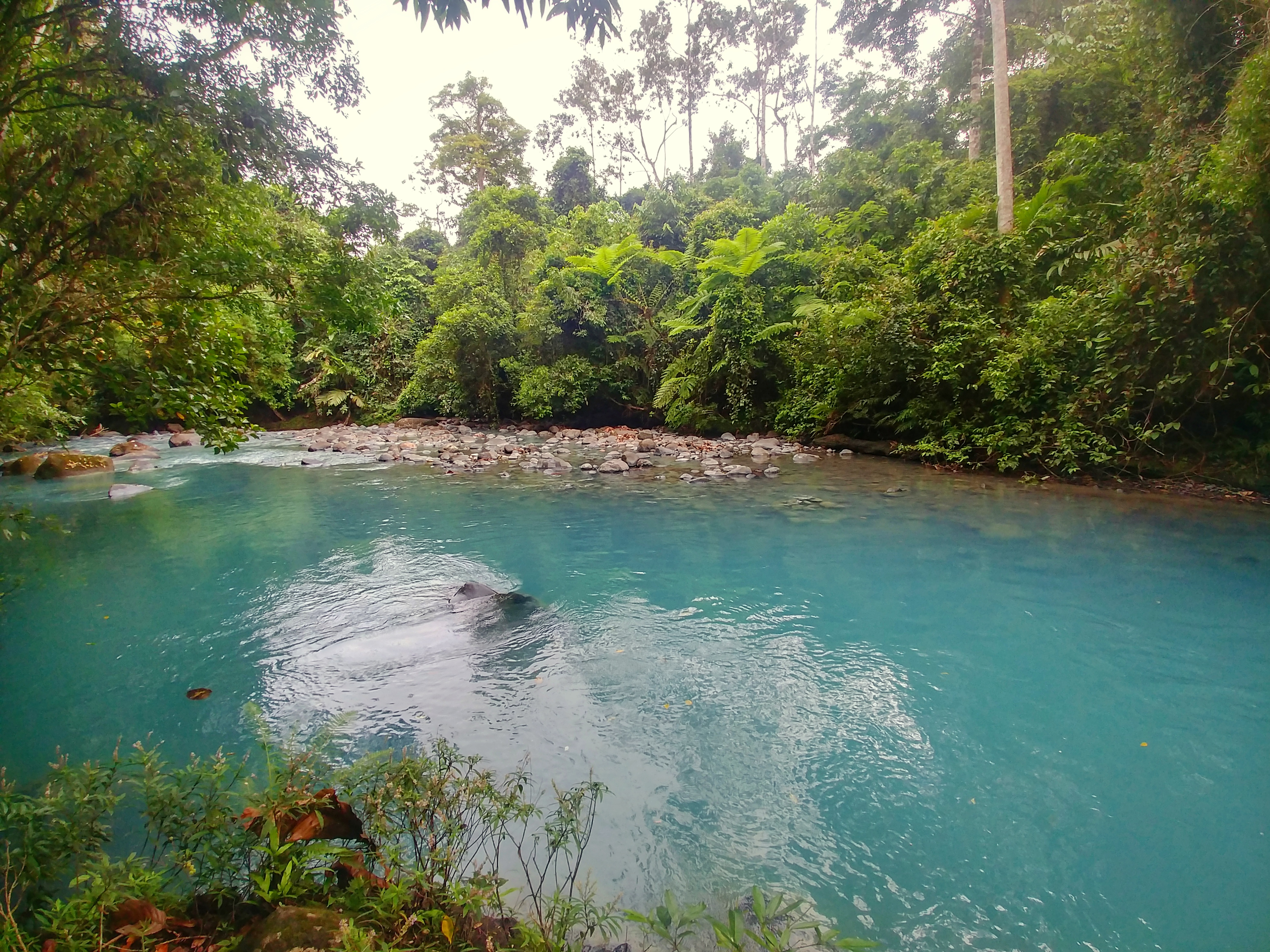 Rio Celeste au Costa Rica Fleuve Céleste Costa rica voyage Rivière Céleste