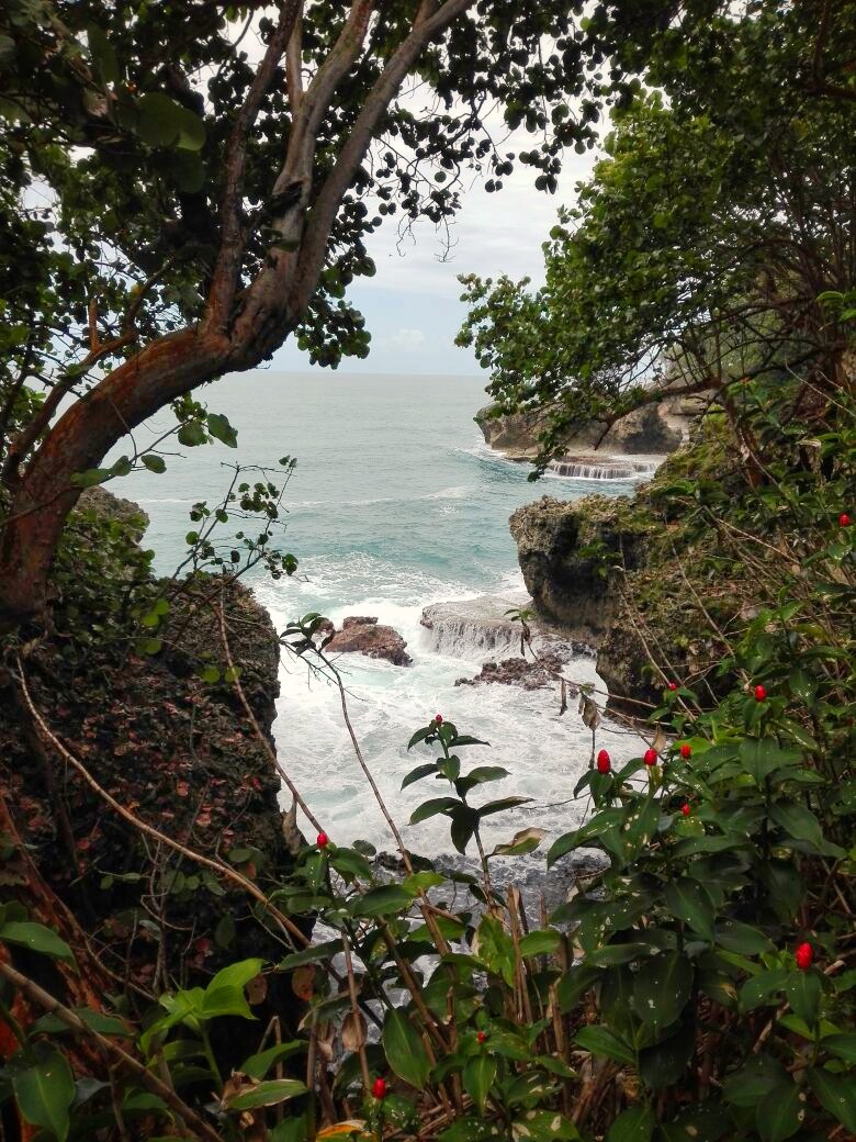 l'île uvita quiribri costa rica voyage agence francophone sur mesure