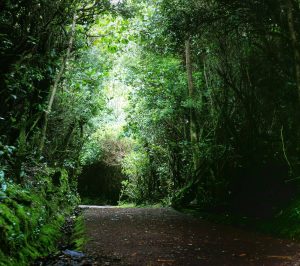 volcan poas costa rica voyage