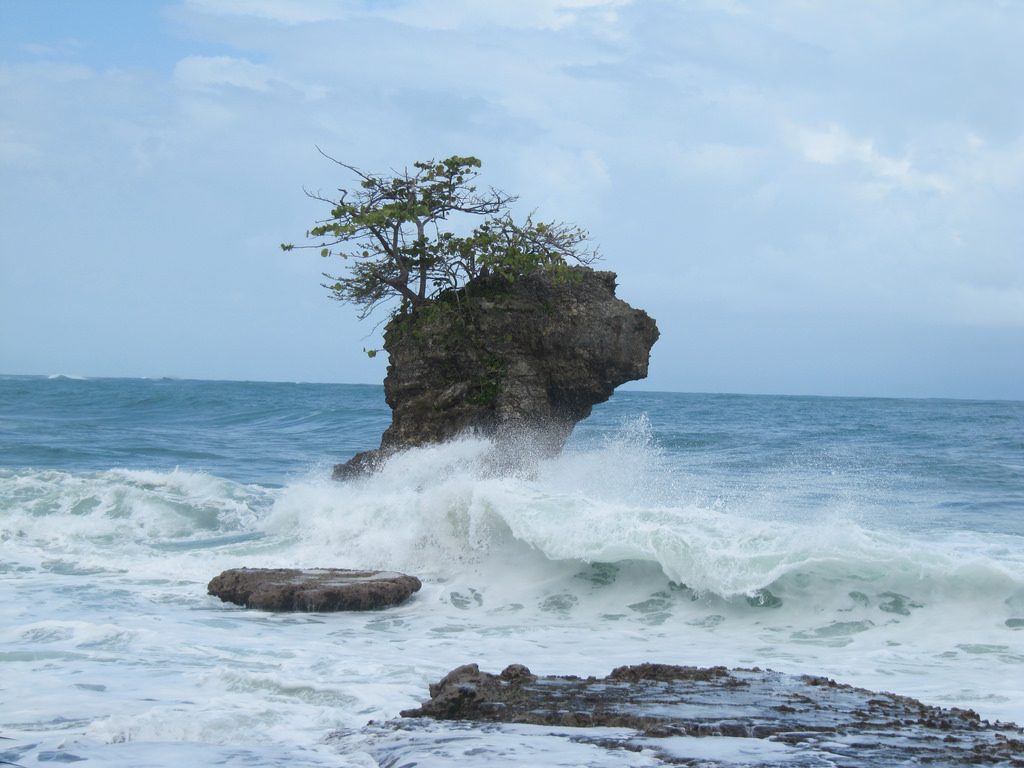 gandoca manzanillo puerto viejo caraibes costa rica voyage