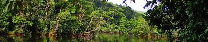 vallée_sarapiqui_costa rica voyage