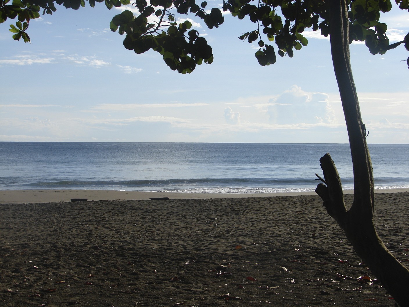 Playa_Negra,_Puerto_Viejo_costa_rica_voyage