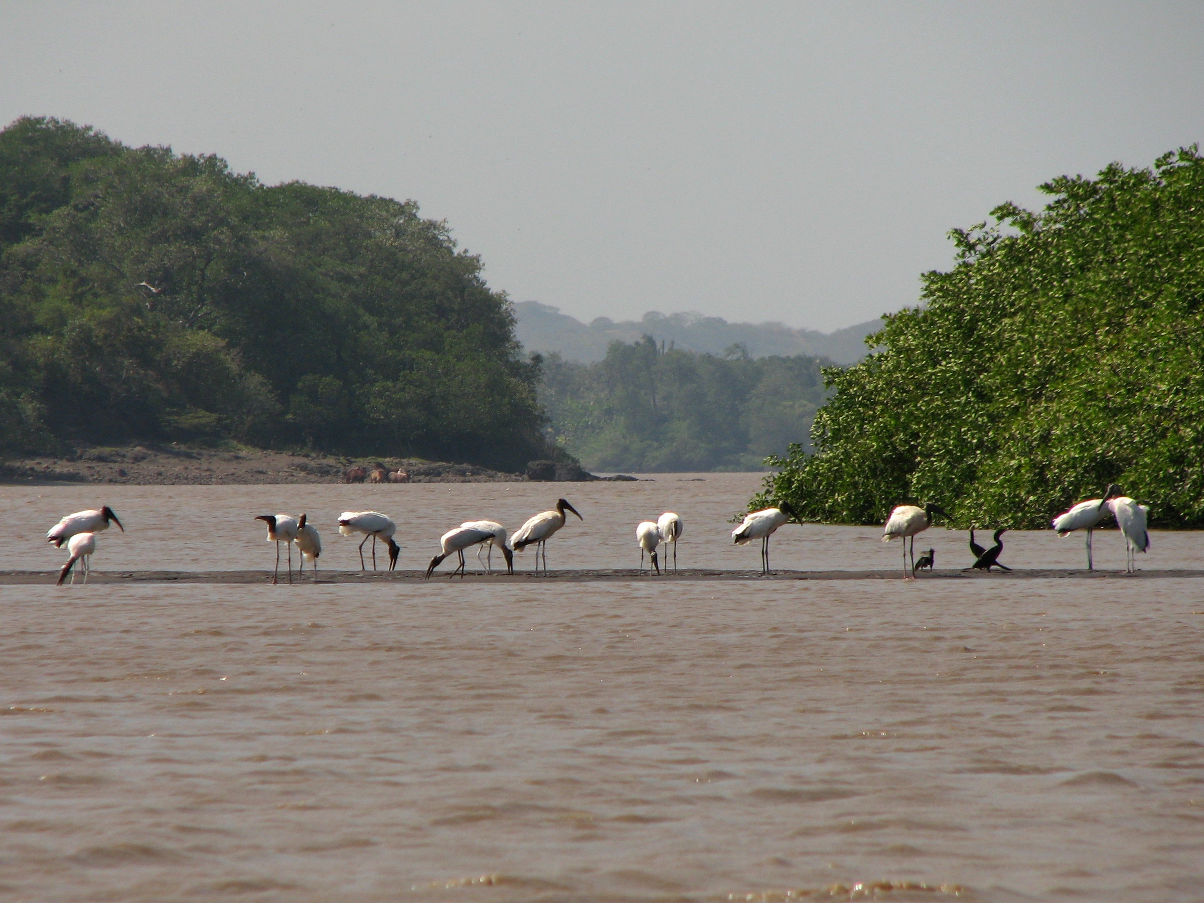 fleuve_costa_rica_voyage