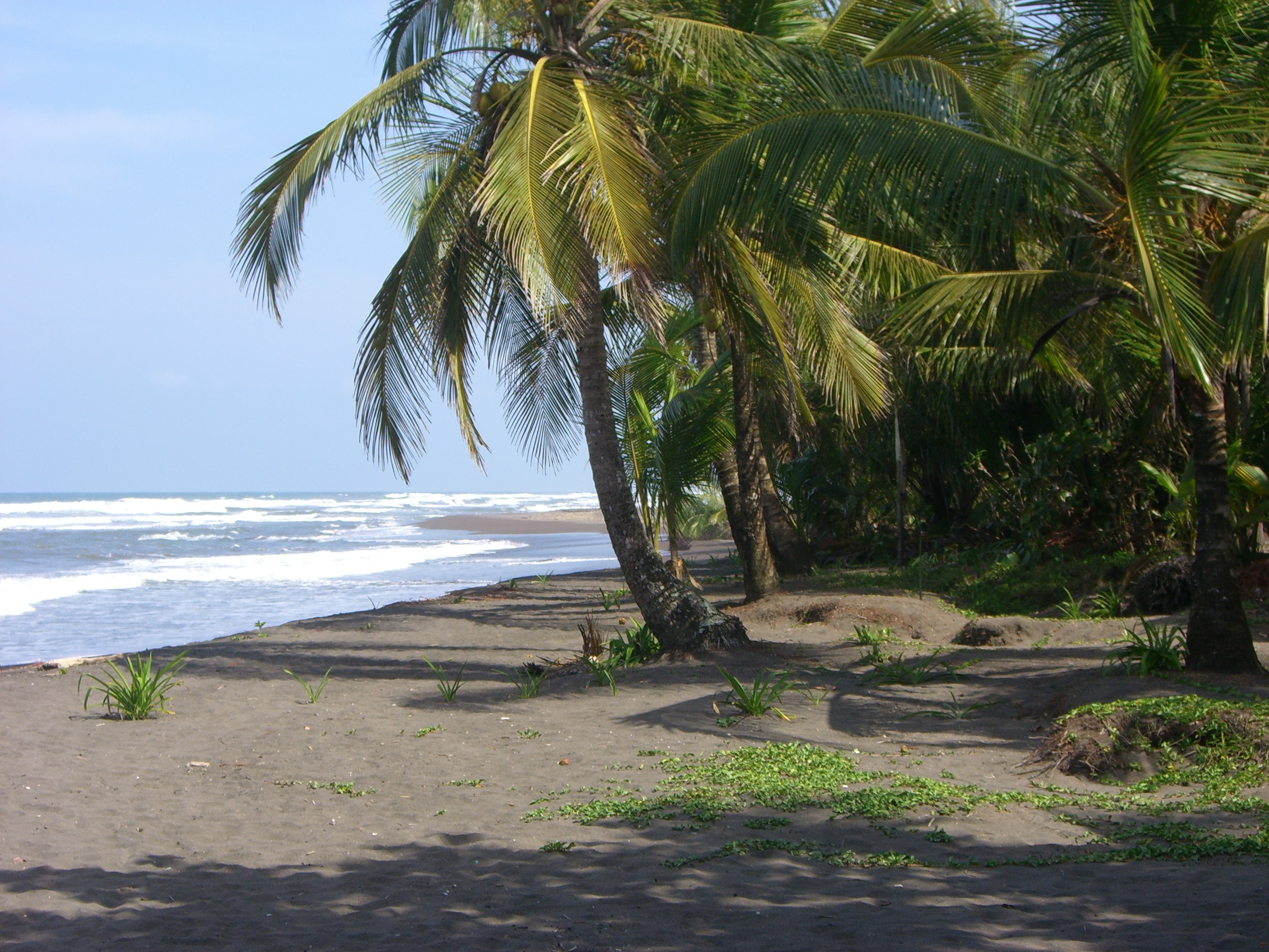 tortuguero_plage_costa_rica