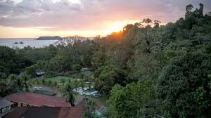 paysage costa rica voyage écologie plage forêt nature