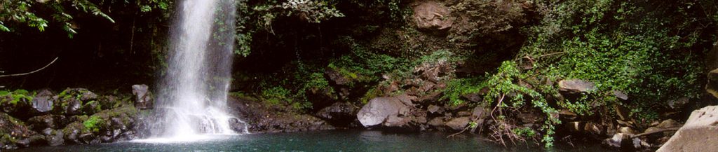 parc national rincon de la vieja costa rica voyage