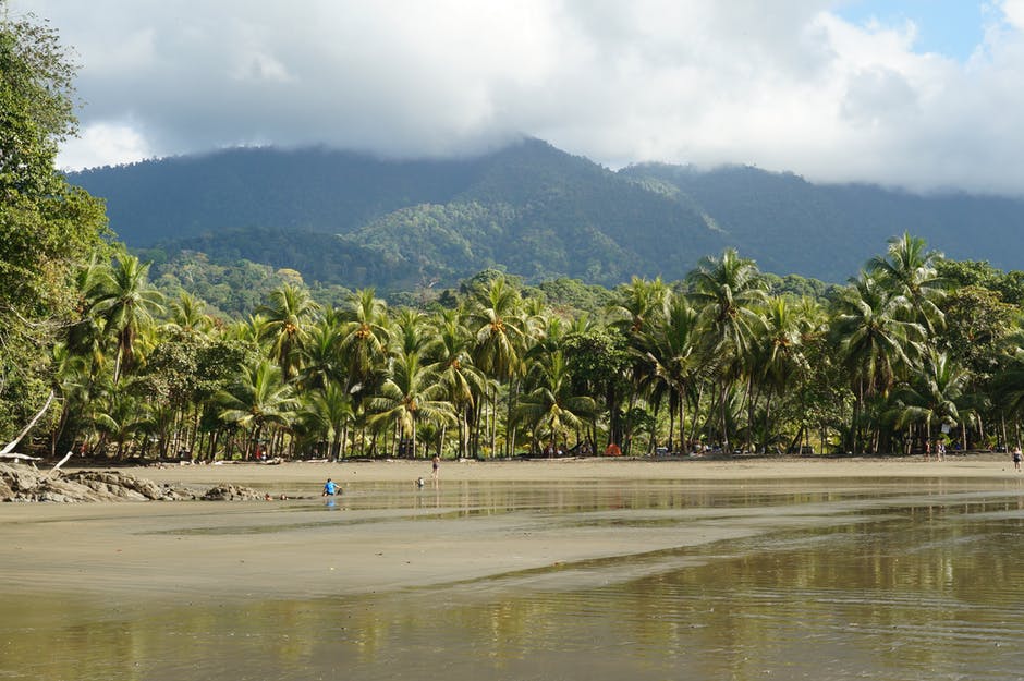 plages du pacifique sud playa ventana costa rica voyage agence de voyage