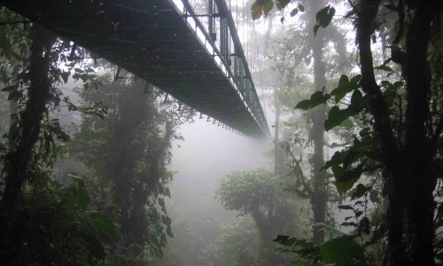 forêts de nuages forêt de nuage monteverde pont suspendu costa rica voyage