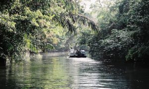 parcs naturels parc national costa rica voyage agence francophone française sur mesure