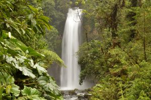 biodiversité, Costa Rica voyage, voyage au Costa Rica, voyage Costa Rica, voyage sur mesure, séjour au Costa Rica