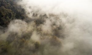 nuages Costa Rica, forêt de nuages, agence de voyage réceptive