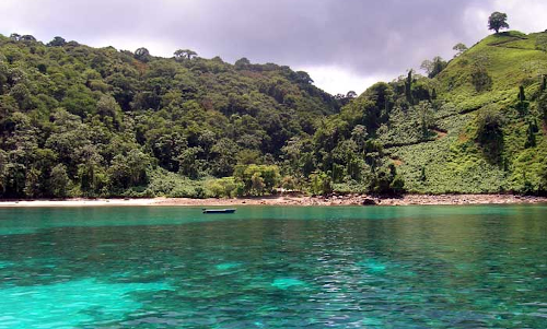 espèces invasives, ile cocos, costa rica voyage, agence francophone, sur mesure