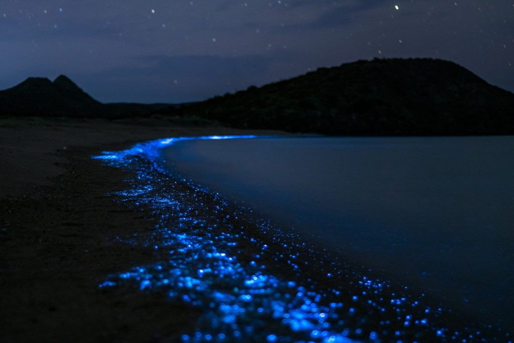 bioluminescence au costa rica, plage, costa rica voyage, agence francophone, sur mesure