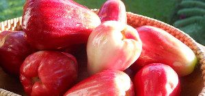 fruits incontournables au Costa Rica, pomme eau, costa rica voyage, agence francophone, sur mesure