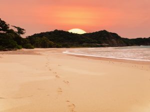 surfer au Costa Rica, plage, costa rica voyage, agence francophone, sur-mesure