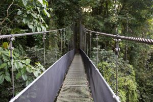 voyage de noces au Costa Rica, pont suspendu, costa rica voyage, agence francophone, sur mesure