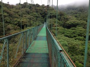 ponts suspendus au Costa Rica, jungle, costa rica voyage, agence francophone, sur mesure