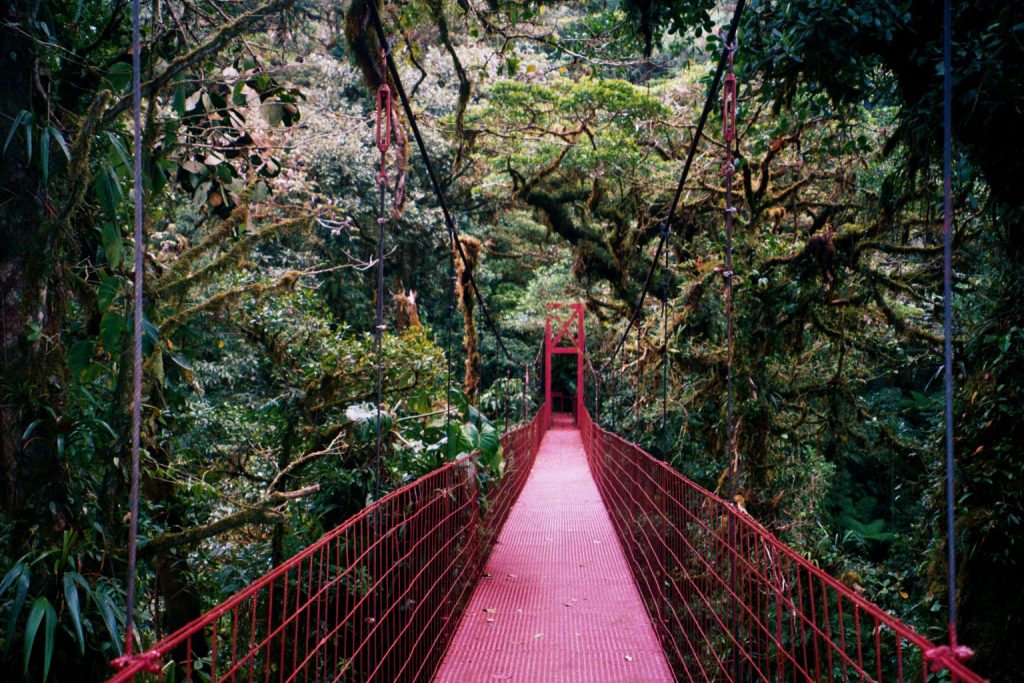 ponts suspendus au Costa Rica, jungle, costa rica voyage, agence francophone, sur mesure