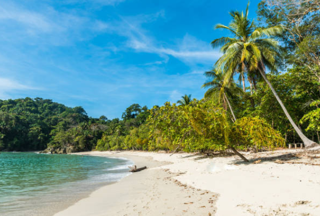 plage du parc Manuel Antonio